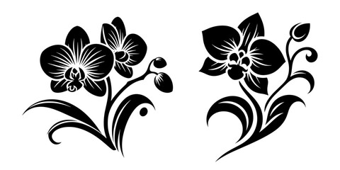 Orchid Flower Silhouette Vector