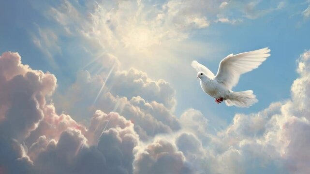 White dove soaring in cloudy sky with sunbeam. Symbol of peace and hope. Religious concept for card and invitation. Spirituality and faith.