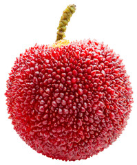Red Yangmei or Arbutus berries fruit isolated on white, Red Bayberry, Yumberry, Yamamomo, Waxberry...