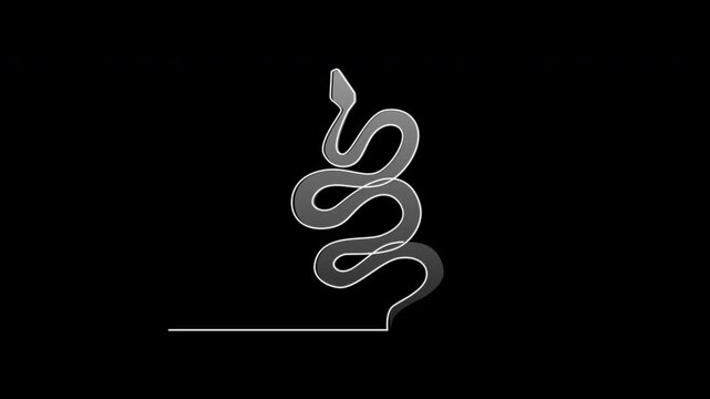 Snake outline self drawing animation. Grey on black background.