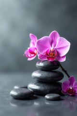 Fototapeta premium Polished stones, orchid blossoms, elegant grey setting, graphic, serenity