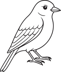 vector illustration of a bird