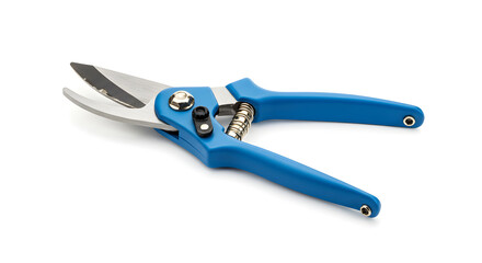 Obraz premium Blue Garden Pruner