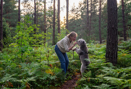 Woman playing with her dog in a lush green forest at sunset