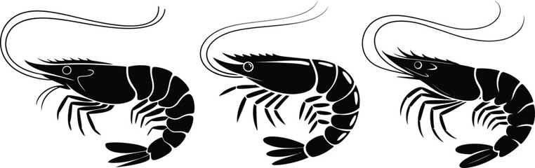 Silhouette illustration of three black shrimp on a white background for seafood themes