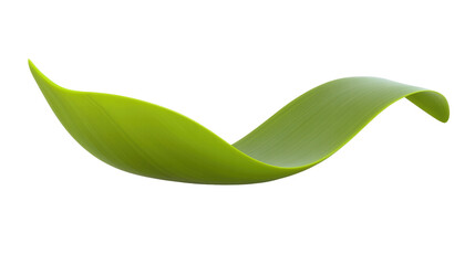Obraz premium Elegant Green Leaf with Smooth Curves on a Transparent Background Representing Nature's Beauty