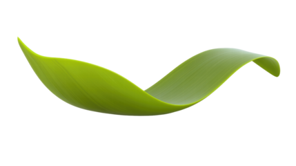 Elegant Green Leaf with Smooth Curves on a Transparent Background Representing Nature's Beauty