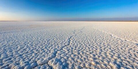 Obraz premium Dry lakebed with white salt crystals in Rann of Kutch, India, arid landscape, white salt