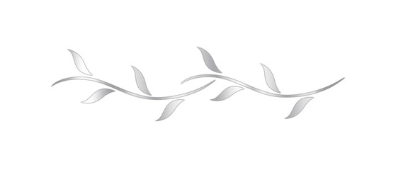 Classic, Elegant, and Glossy Silver Text Divider – Isolated on White.