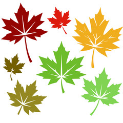 Obraz premium Maple Leaves Vector Illustration – Autumn Maple Leaf Clipart & Fall Design Elements