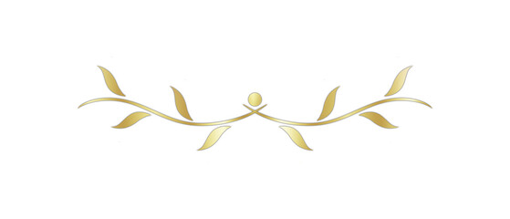 Classic, Elegant, and Glossy Gold Text Divider – Isolated on White.