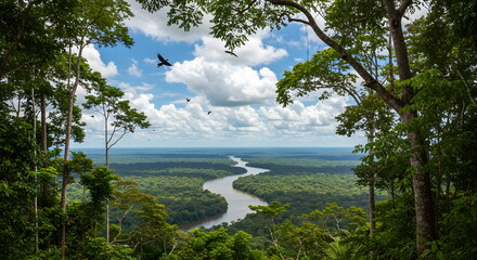 Aerial View of the Amazon Rainforest with River and Tropical Birds