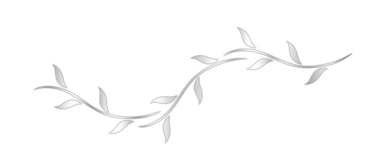 Classic, Elegant, and Glossy Silver Text Divider – Isolated on White.