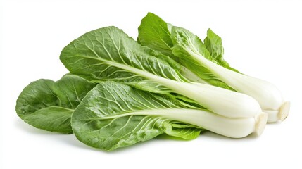 Fresh Bok Choy Leaf. Chinese Cabbage Salad Ingredient, Green and Organic
