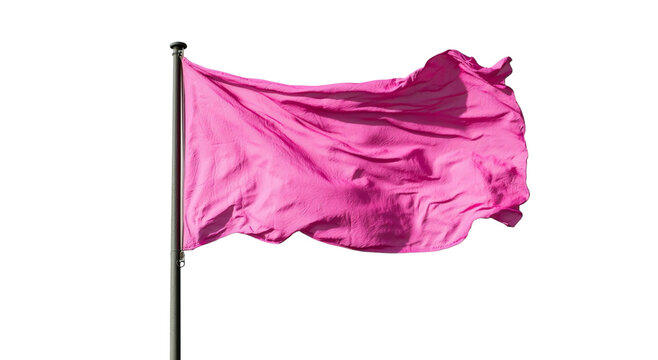 Png of A vibrant pink flag waving gently in the breeze, symbolizing boldness and creativity.