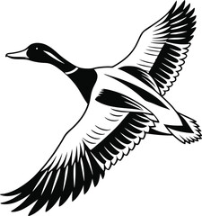 Obraz premium Duck vector, flying duct line art, outline and silhouette vector vector illustration on white background, editable, printable, logo, icon, design 