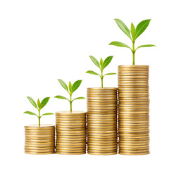 Increasing stacks of golden coins with a smooth upward green arrow, representing financial success and growth with an environmentally positive connotation, isolated on a transparent 