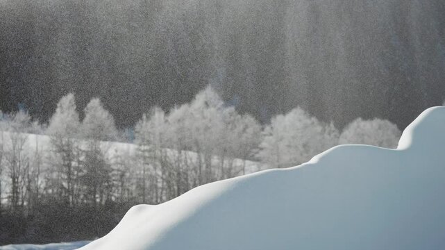 Delicate winter trees coated in hoarfrost stand against a dark forest backdrop under soft light as sparkling snow falls, backlit by the morning sun.