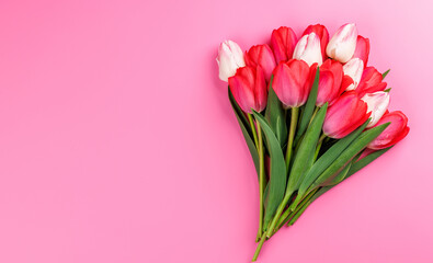Pink and white tulip bouquet on a soft pink background