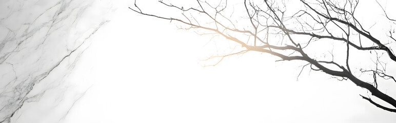 Elegant light gray marble texture with veins high resolution abstract design minimalist style