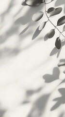 aesthetic wallpaper, shadows of plants on a light gray background with greenery. Simple and elegant design wallpaper for mobile app
