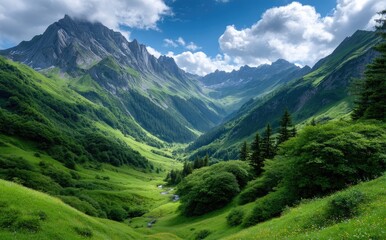 Obraz premium the majestic Dolomites in Italy, with green grass and yellow flowers on their slopes, under a blue sky with white clouds