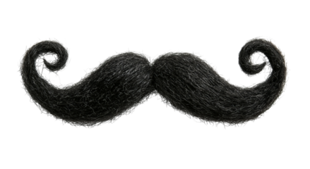 Png of A whimsical, thick black mustache with curly tips, perfect for playful or vintage-themed designs.