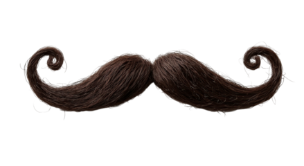 Png of A whimsical, stylized brown mustache with curled ends, showcasing a playful and vintage aesthetic.