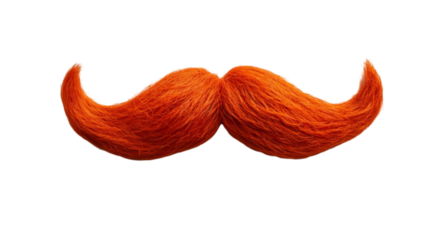 Png of A vibrant orange mustache with a fluffy texture, perfect for playful designs and quirky themes.