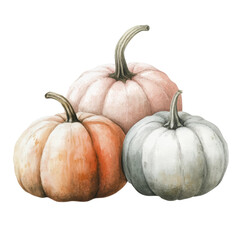 Three watercolor pumpkins in pastel shades, cut out - stock png.