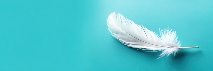 Naklejka premium A single white feather on a light-blue background.