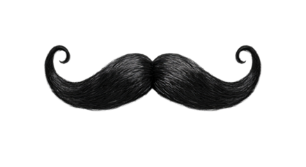 Png of Stylish black mustache with elegant curls, perfect for adding character to any look.