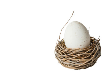 Obraz premium Speckled egg in twigs nest on, cut out - stock png.