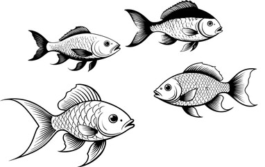 Fototapeta premium set of fish vector