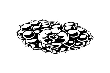 Bobaberry composition in simplified AI botanical vector style