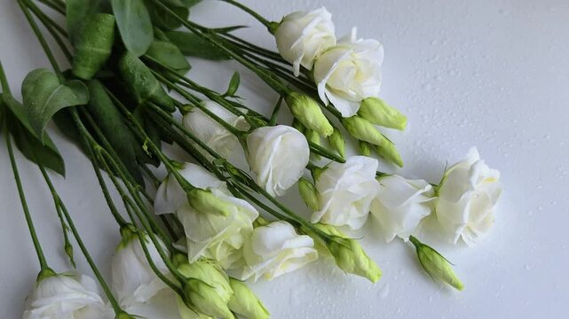 Floral background of eustoma on white background. Romantic, wedding background. Top view flat lay overhead.