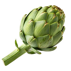 Artichoke isolated on a transparent background