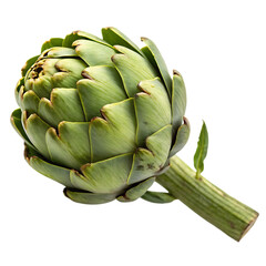 Artichoke isolated on a transparent background