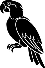 Black and white parrot vector illustration