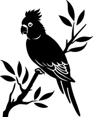 Black and white parrot vector illustration