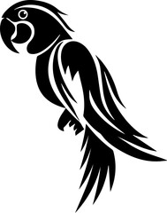 Black and white parrot vector illustration