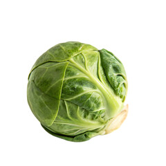 Fototapeta premium Brussels sprout isolated on a transparent background