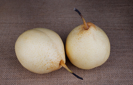 Two ripe juicy pears on a jute napkin. Snow pear.