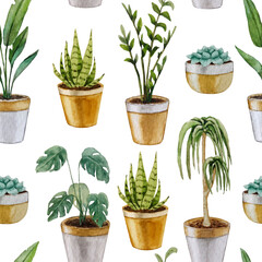 Potted plant pattern. Watercolor illustration. White background. For design, backgrounds