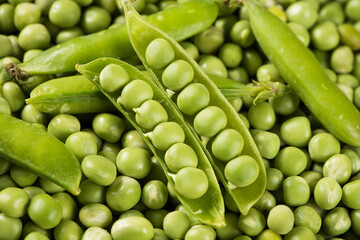 fresh green peas texture background