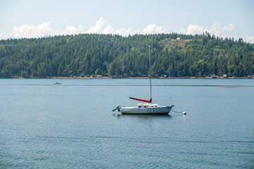 Fototapeta premium A single sailboat rests off the coast near Seattle with forested shoreline behind and soft clouds above, captured May 31, 2019, in Seattle, WA, USA