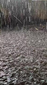 Hujan air sangat deras di taman 