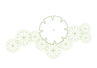 architecture drawing plant tree top view plan greenery vegetation vector. design nature architectural landscape set element illustration bush garden flora sapling minimal. architect isolated.