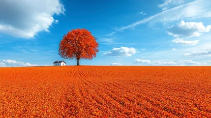 Foto op Canvas Vibrant landscape with tree, sky and small house © Jikno
