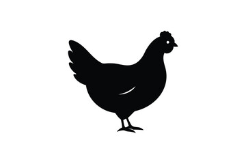 Obraz premium silhouette of a hen